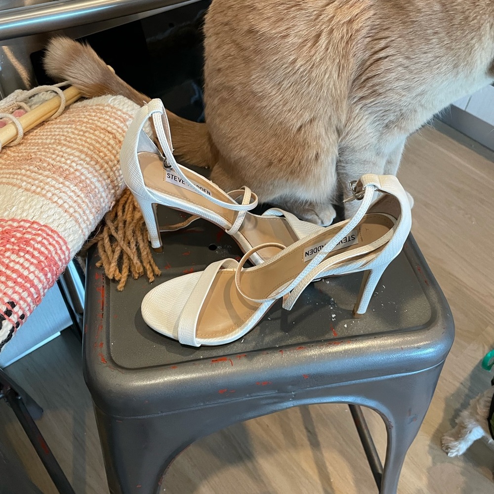 Steve Madden worn for photo shoot